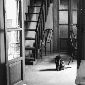 Meet your Posher, Jennifer natalia